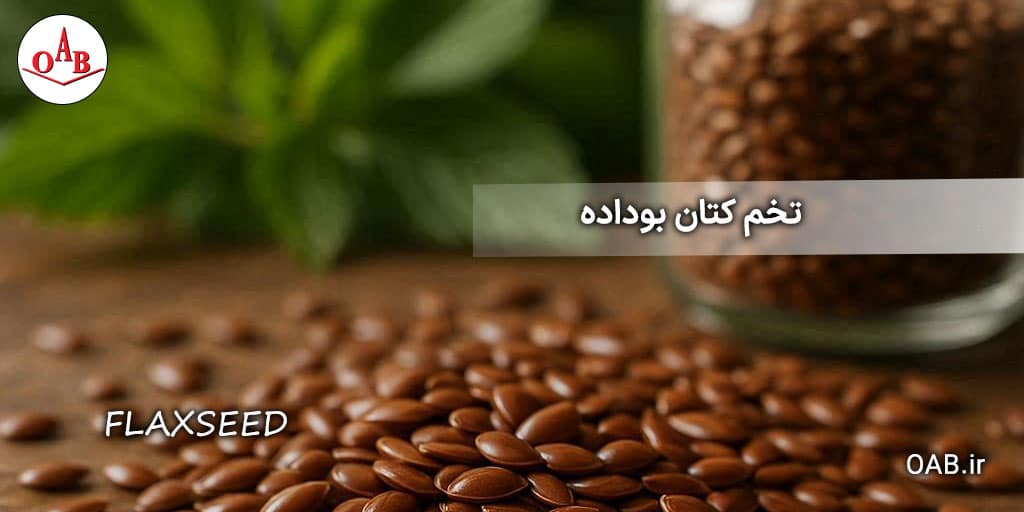 تخم-کتان-بو-داده-OAB