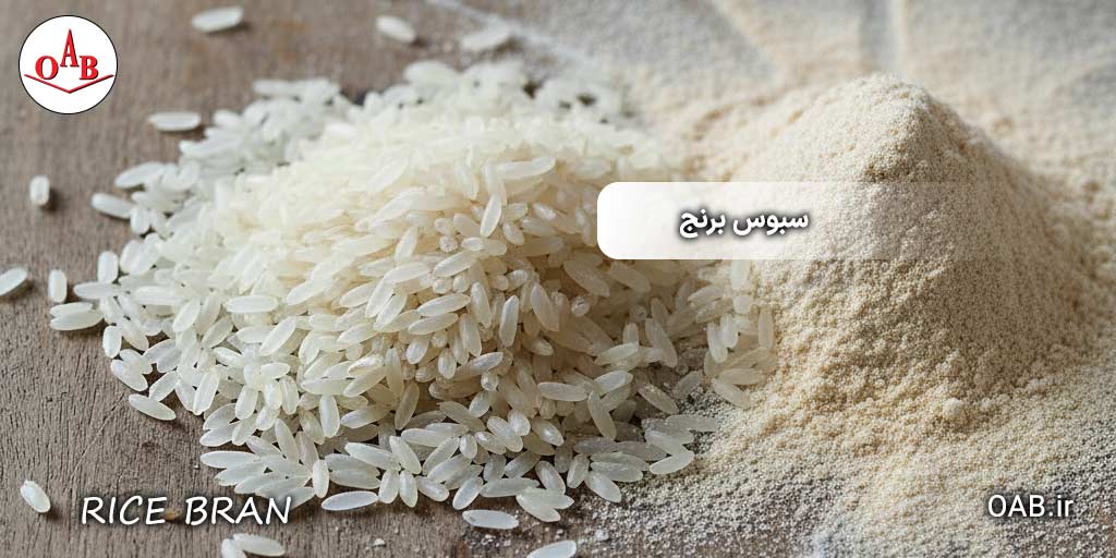 چندی-از-خواص-خارق-العاده-سبوس-برنج-OAB