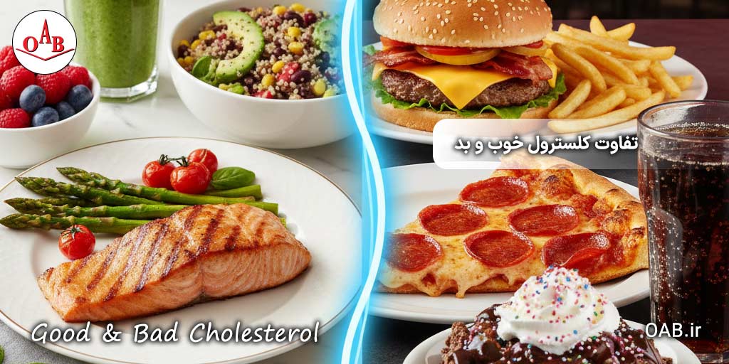 تفاوت-کلسترول-خوب-و-بد-OAB