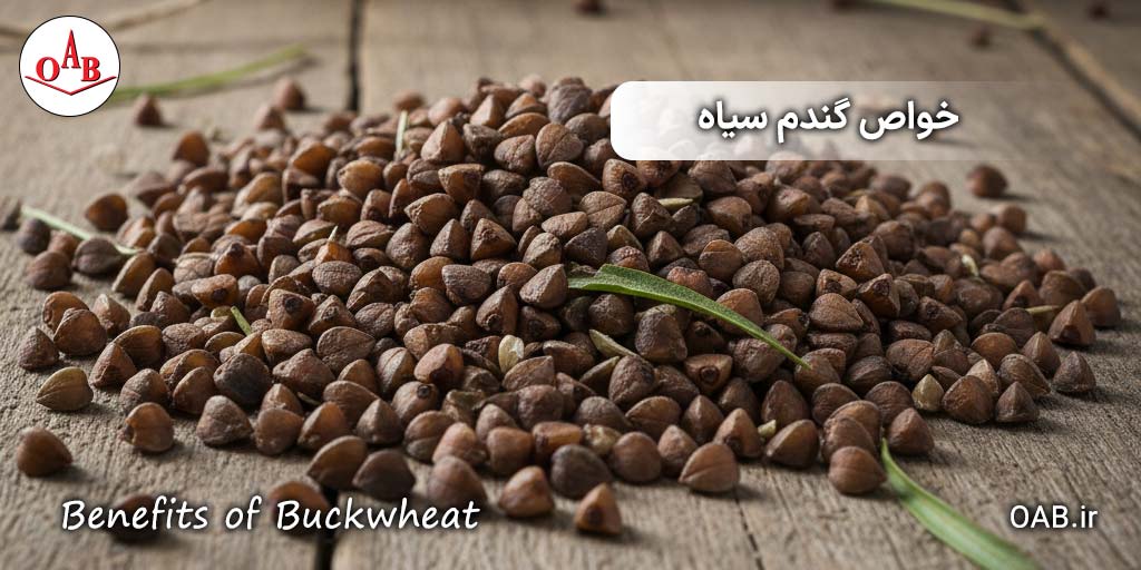 ۱۰-دلیل-برای-استفاده-از-گندم-سیاه OAB