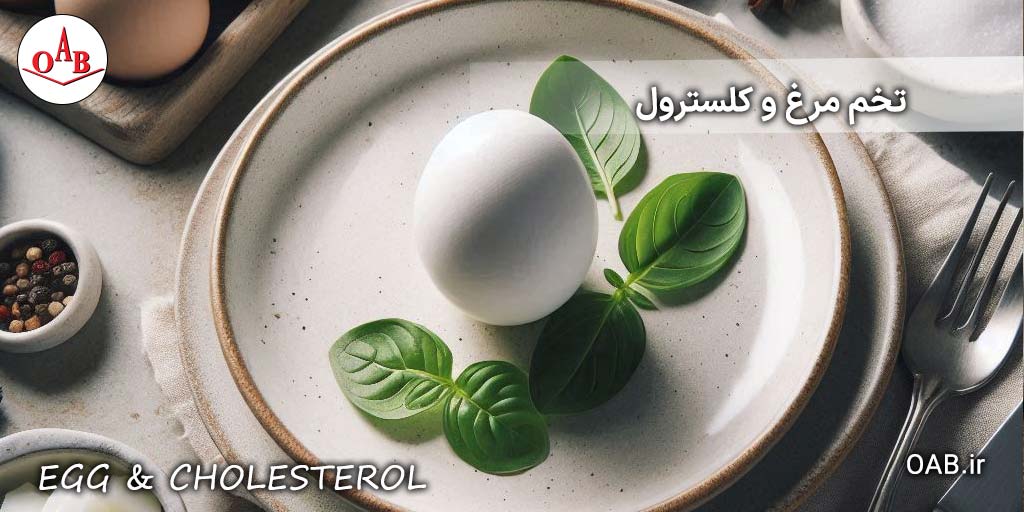 تخم-مرغ-و-کلسترول-OAB