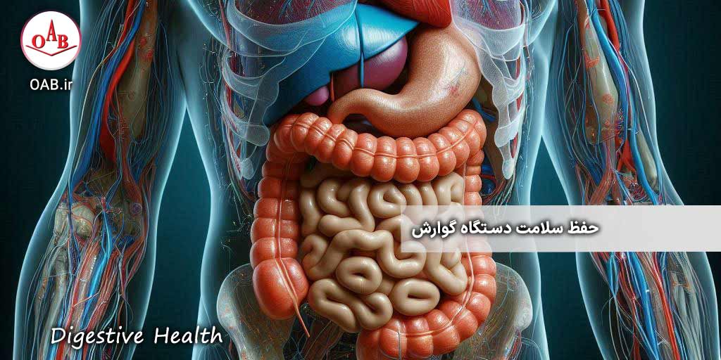 8-روش-حفظ-سلامت-دستگاه-گوارش-OAB