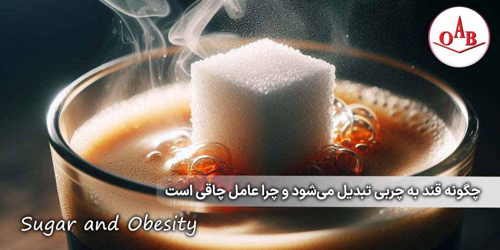 چگونه-قند-به-چربی-تبدیل-می‌شود-و-چرا-عامل-چاقی-است-OAB