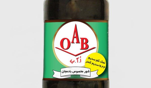 شور-مخصوص-بادمجان-1